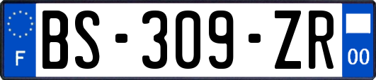 BS-309-ZR