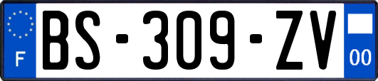 BS-309-ZV
