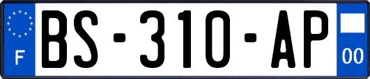 BS-310-AP