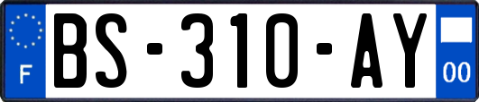 BS-310-AY