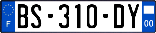 BS-310-DY