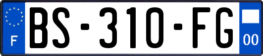 BS-310-FG