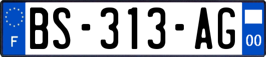 BS-313-AG