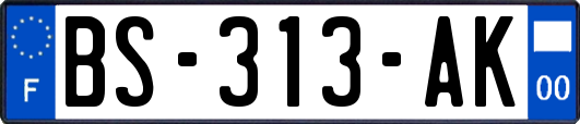 BS-313-AK