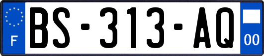 BS-313-AQ