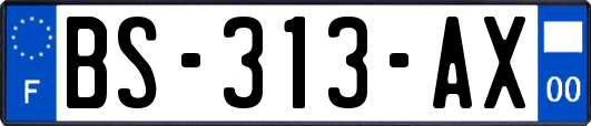 BS-313-AX