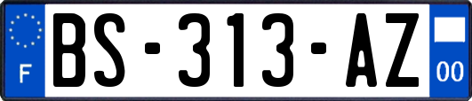BS-313-AZ