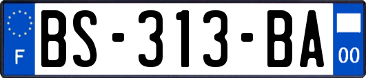 BS-313-BA