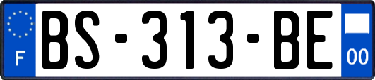 BS-313-BE