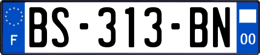 BS-313-BN