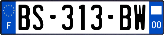 BS-313-BW
