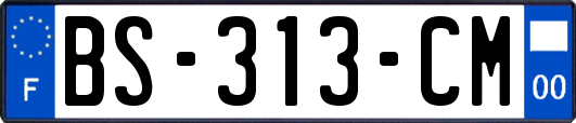 BS-313-CM