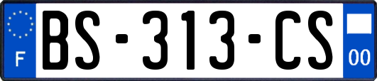 BS-313-CS