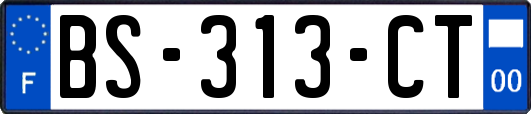 BS-313-CT