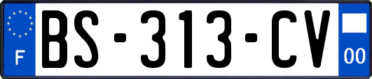 BS-313-CV
