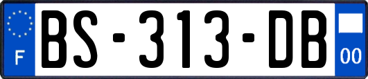 BS-313-DB