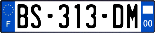 BS-313-DM