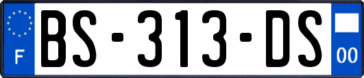 BS-313-DS