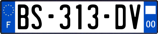 BS-313-DV