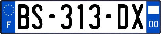 BS-313-DX