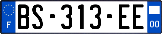 BS-313-EE