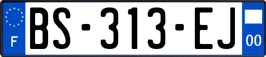 BS-313-EJ