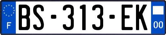 BS-313-EK