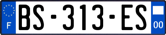 BS-313-ES