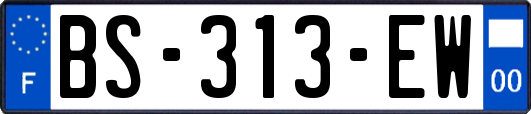 BS-313-EW