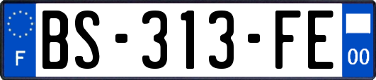BS-313-FE