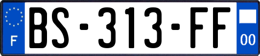 BS-313-FF