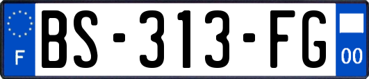 BS-313-FG