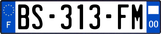 BS-313-FM