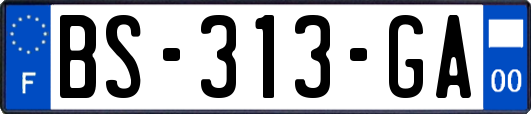 BS-313-GA