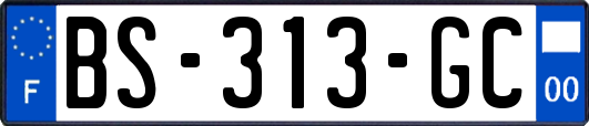 BS-313-GC