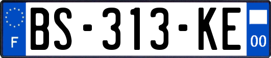 BS-313-KE