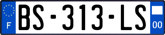 BS-313-LS