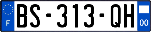 BS-313-QH