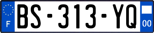 BS-313-YQ