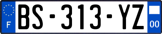 BS-313-YZ