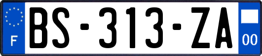 BS-313-ZA