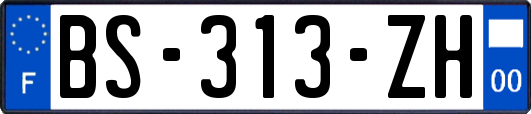 BS-313-ZH