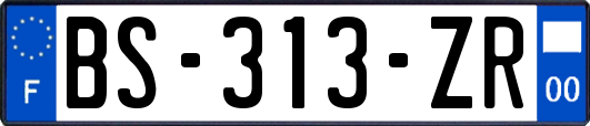 BS-313-ZR