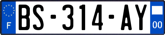 BS-314-AY