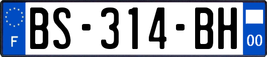 BS-314-BH