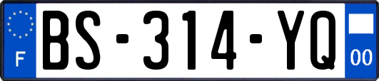 BS-314-YQ