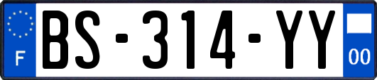BS-314-YY