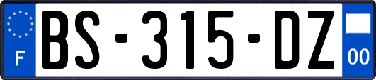 BS-315-DZ