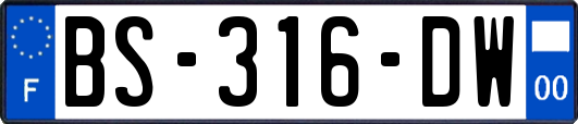 BS-316-DW