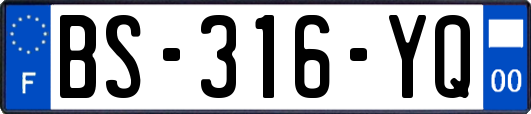BS-316-YQ